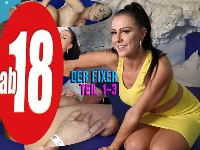 Der Fixer, Teil 1-3